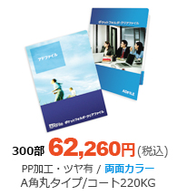 A角丸タイプ片側ポケット/コート220KG